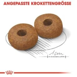 Royal Canin Medium Ageing 10+ 15 Kg -Fressnapf 0a453b86a84d0380c5d152e81e85c4fc2e5494ce c4a51033500711901bbb965ddf12b16b9f8c074f