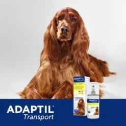Adaptil Transport Spray 60ml Reduziert Reisestress Und Reiseübelkeit 17 Adaptil Transport Spray 60ml Reduziert Reisestress Und Reiseübelkeit -Fressnapf 10042642655c241c2be17b616fd7feb00d44fda7 1204438 5