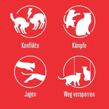 Feliway Friends Nachfüllflakon Reduziert Konfliktverhalten 48ml 6 Feliway Friends Nachfüllflakon Reduziert Konfliktverhalten 48ml – Bild 4