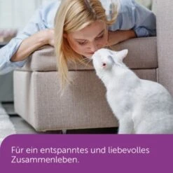 Feliway Classic 3x48ml Nachfüllflakon Vorteilspack Zur Beruhigung -Fressnapf 10f8857afd5b9fbff274c801b8b80f7bdf130bdf 1271232 4