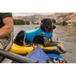 Ruffwear Schwimmweste Für Hunde Float Coat™ Blau L 34 Ruffwear Schwimmweste Für Hunde Float Coat™ Blau L -Fressnapf 15b1af7197a018407012b46bf60ab140e02bea5e 1364266 3