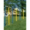 Josty Agility Slalom-Stangen 12x100cm -Fressnapf 31a415cb33acb03788eb8eb3c8060a9871435944 1176552 0