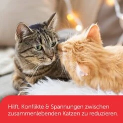 Feliway Friends 3x48ml Nachfüllflakon Vorteilspack Reduziert Spannungen & Konflikte -Fressnapf 34db720ab76562b352f66c6949a63cf35f3267c2 1271233 4