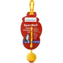 Lecky Sportball Large Schwimmfähig L