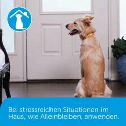 Adaptil 1 Monats-Nachfüllflakon 16 Adaptil 1 Monats-Nachfüllflakon -Fressnapf 390db5efc9cbd6dc1c5fdeb88c5cb7ba09d81bd9 1221382 4