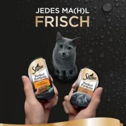 Sheba Perfect Portions 16x37,5g Ente & Truthahn 13 Sheba Perfect Portions 16x37,5g Ente & Truthahn -Fressnapf 3edfc91c7ceca7f3ea54c26c1defb4d0115b70c3 1376758 de DE sheba 5