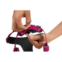 Ruffwear Hundegeschirr Front Range™ Pink XXS -Fressnapf 4926781509e831b8a645499596e212d1713720c1 1361253 de DE 3deed4ab3b87bc77dad683f2777a4eee056c74f2XKV8mT