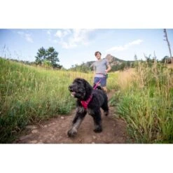 Ruffwear Hundegeschirr Front Range™ Pink XXS -Fressnapf 4cc9050c7e8ac0181bc03bd105252646d20857ec 1361253 de DE 914807c37d2840c257564e843a8de90cce990259Tjf0Ff