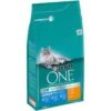 Purina ONE Senior 11+ Mit Huhn Und Vollkorn 1.5kg 2 Purina ONE Senior 11+ Mit Huhn Und Vollkorn 1.5kg -Fressnapf 58446800e766309c32f1e52042522c66c6340f4a 1276956 0