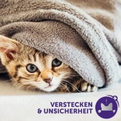 Feliway Optimum Start-Set Zur Vorbeugung Von Stressverhalten 48ml -Fressnapf 5c0cfc9dd45a2938baf53d33cbef68688b59305f 1338504 2