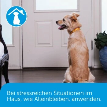 Adaptil Happy Home Start-Set 7 Adaptil Happy Home Start-Set – Bild 5