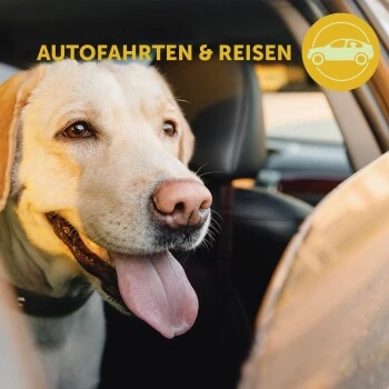 Adaptil Transport Spray 60ml Reduziert Reisestress Und Reiseübelkeit 11 Adaptil Transport Spray 60ml Reduziert Reisestress Und Reiseübelkeit – Bild 9