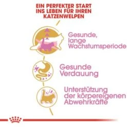 Royal Canin Maine Coon Kitten 2 Kg -Fressnapf 762fe3d95c521f1c9aed31bc11ea5f813cb64625 48abad1c00ba32352c5f4e40b8a5a9d5e4dec65f