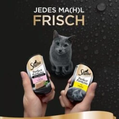 Sheba Perfect Portions 16x37,5g Huhn Und Lachs 10 Sheba Perfect Portions 16x37,5g Huhn Und Lachs -Fressnapf 779dcc2b803071491847546b40757e4dda2bc4e4 1376759 de DE sheba 2