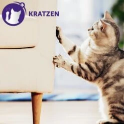 Feliway Optimum Nachfüllflakon Reduziert Konfliktverhalten 48ml -Fressnapf 7ab485e39be5f20c9666665c90acfa8949c4c1fa 1338505 3