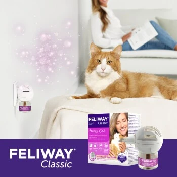 Feliway Classic Start-Set 48ml Zur Beruhigung 8 Feliway Classic Start-Set 48ml Zur Beruhigung – Bild 6