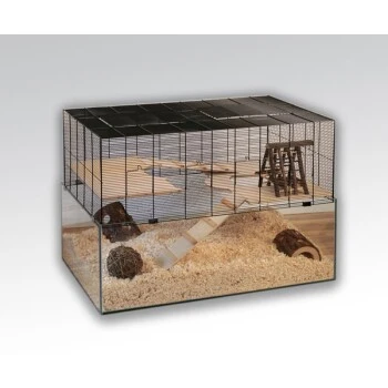 Skyline Nagarium Falco 100 3 Skyline Nagarium Falco 100