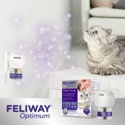 Feliway Optimum Start-Set Zur Vorbeugung Von Stressverhalten 48ml -Fressnapf 8c49c003d05d9640fe0bc9328fd921f0d1fc88ee 1338504 5
