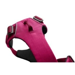 Ruffwear Hundegeschirr Front Range™ Pink XXS -Fressnapf 8ea4d472d6aafc0bd1d71369958c9954dc8666f5 1361253 de DE 579065c54c90c8c1252f063e6cc39f3d1e88863cDrBsiE