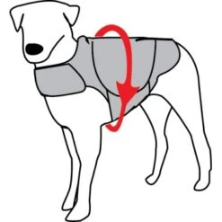 Thundershirt Hundemantel Zur Angstbekämpfung L -Fressnapf 943d51871e61fe6383a65815c1a38ab032e12854 1084126 1