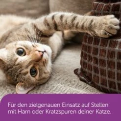 Feliway Classic Transport Spray 60ml Gegen Kratz- & Harnmarkieren -Fressnapf a2b18902777c9773ea1c84820cb8a411c4f59164 1204448 4