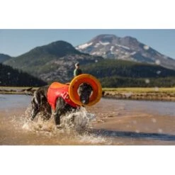 Ruffwear Schwimmweste Für Hunde Float Coat™ Rot XL -Fressnapf a95772a640539cea986ef6aa34d8e20c8a2a2744 1364273 de DE 7e1ea9adae25d55e79a8aed2cc6dc797ac8d0d03VzGE17