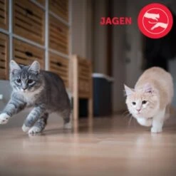 Feliway Friends 3x48ml Nachfüllflakon Vorteilspack Reduziert Spannungen & Konflikte -Fressnapf ac5dfeb253132d18f617628d8b07ecd64b8f2014 1271233 2