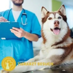 Adaptil Transport Spray 60ml Reduziert Reisestress Und Reiseübelkeit 21 Adaptil Transport Spray 60ml Reduziert Reisestress Und Reiseübelkeit -Fressnapf aee4d6cf71cc7f0945d5fa68bc462da0d0015bd9 1204438 9