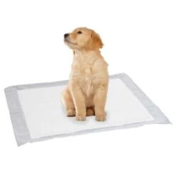 SwissPet Puppy Pads L 10 Stück