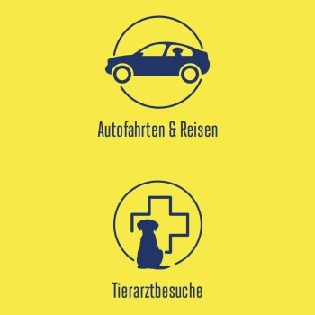 Adaptil Transport Spray 60ml Reduziert Reisestress Und Reiseübelkeit 6 Adaptil Transport Spray 60ml Reduziert Reisestress Und Reiseübelkeit – Bild 4