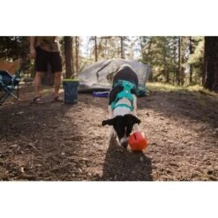 Ruffwear Hundegeschirr Front Range™ Blau/ Türkis XXS -Fressnapf c579a4163aaa2124646ff41b66afb6ea2e4ad5ea 1361254 de DE f5b2d9a82cea7e2c6212156d320a5eaa687b5b9eNLPUt9