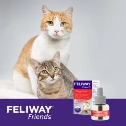 Feliway Friends 3x48ml Nachfüllflakon Vorteilspack Reduziert Spannungen & Konflikte -Fressnapf c817ceeb12e22221d95c4135ab612cd6d3d3e6f7 1271233 5