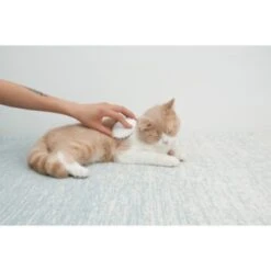 Petkit Silikon Massagekamm -Fressnapf ddaac12ea4e4735734fb80bd9dafcc4619d147fc 1291412 3