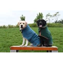 Chiara Bademantel Nereus Grün L -Fressnapf e048dc40e58aeb5e96f34ec3e8d25e4788ed395a 1382163 2