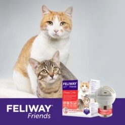 Feliway Friends Start-Set Reduziert Spannungen & Konflikte 48ml -Fressnapf e21994a47f8ea22b3f9826868a42f994f0839d5c 1242346 5