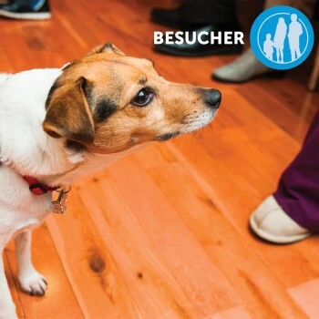 Adaptil Happy Home Start-Set 11 Adaptil Happy Home Start-Set – Bild 9