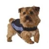 Thundershirt Hundemantel Zur Angstbekämpfung XS -Fressnapf e767064591ce9c67a2ff51f23d38ccf65eee4ff4 1084123 0