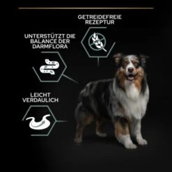 Pro Plan Adult Medium & Large OPTIDIGEST Getreidefrei 12 Kg -Fressnapf e9cc07af099c48515a817e18212c2a0115739371 1301943 2