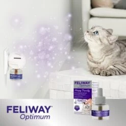 Feliway Optimum Nachfüllflakon Reduziert Konfliktverhalten 48ml -Fressnapf f2c8699002a41e5c7881171fee83e120f4e466a9 1338505 5